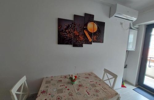 Bacau Apartamento | Topaz Central Apartment
