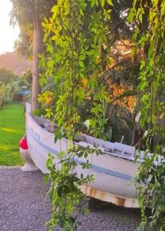 Arco da Calheta Casa | Torre Bella Gardens