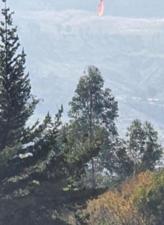 Cochabamba Apartamento | Torre Europa