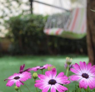 Birgi Vecchi Apartamento | Torre Sances Holiday Apartament