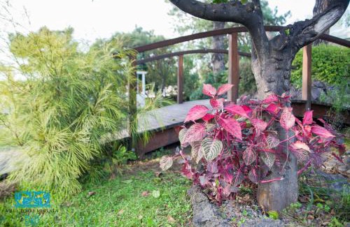 Mount Vesuvius - Pompei Cama Y Desayuno | Torremerlata B&B