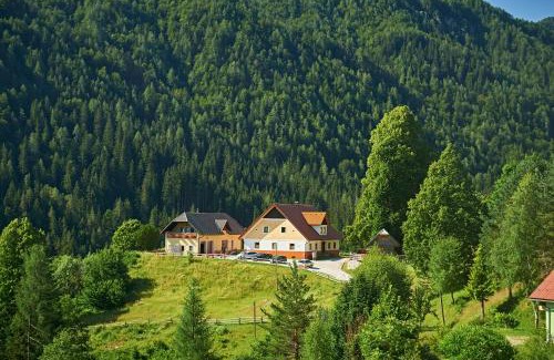 Solcava Apartamento | Tourist farm Gradišnik