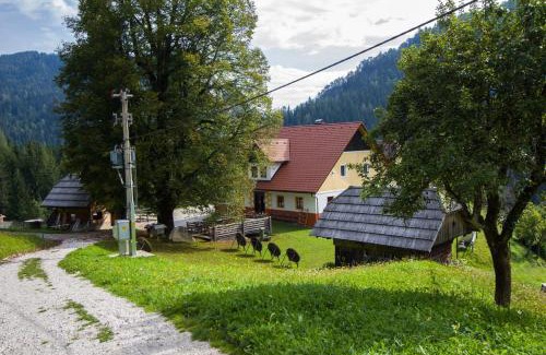 Solcava Apartamento | Tourist farm Gradišnik