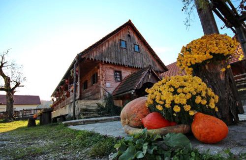 Cerklje ob Krki Casa | Tourist Farm Pri Martinovih