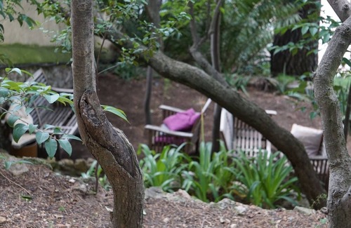El Putget i Farro Apartamento | Torre de los jardines secretos
