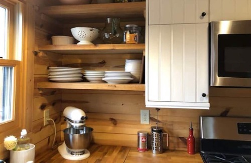 Buena Vista Cabina | Town Hut - Cozy haven on BV's mountain side, EV charging