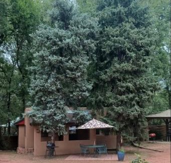 Manitou Springs Cabina | Town-N-Country Cottages