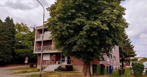 Municipality of Krizevci Apartamento | TP Apartman 1
