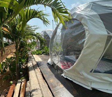 Phan Thiet Cabina | TP-HOMES PHAN THIẾT