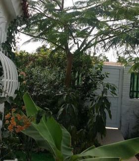 Maspalomas Casa | Très BEAU BUNGALOW,JARDIN TROPICAL, RENOVATION ETE 2020