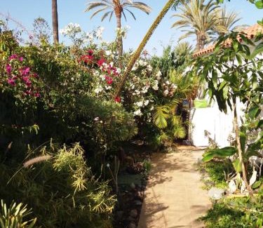 Maspalomas Casa | Très BEAU BUNGALOW,JARDIN TROPICAL, RENOVATION ETE 2020