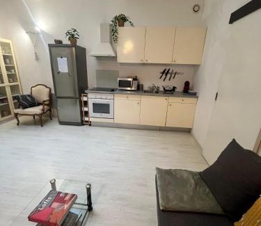 Esplanade Apartamento | Très bel appart spacieux proche universités et centre