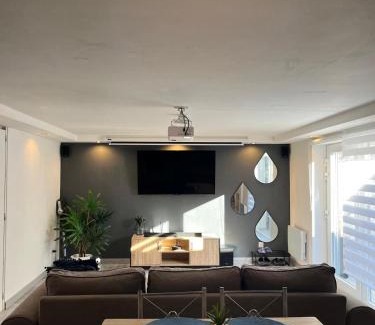 Lingolsheim Apartamento | Très bel appartement type loft de 40 m2 dans maison avec parking privatif