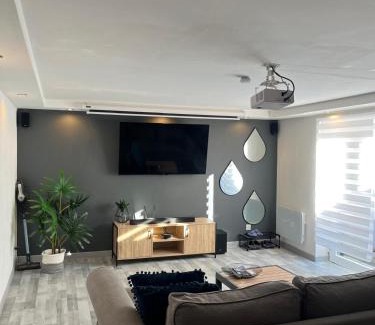 Lingolsheim Apartamento | Très bel appartement type loft de 40 m2 dans maison avec parking privatif