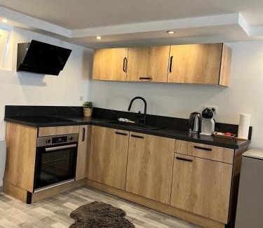 Lingolsheim Apartamento | Très bel appartement type loft de 40 m2 dans maison avec parking privatif