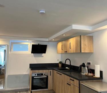 Lingolsheim Apartamento | Très bel appartement type loft de 40 m2 dans maison avec parking privatif