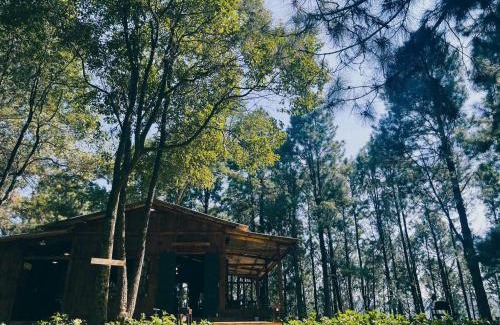 Moc Chau Hotel | Trúc Linh Homestay