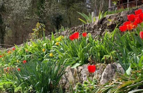 Rieti Cama Y Desayuno | Tra Fiori e Antichità