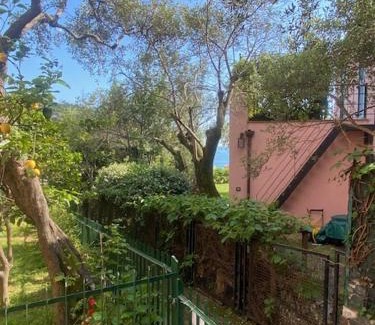 Bonassola Apartamento | Tra il verde e l'azzurro