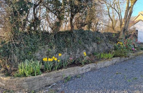 Kilmihil Casa | Traditional cottage near the Wild Atlantic Way