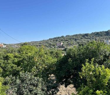 Katarraktis Casa | Traditional Grandma's house
