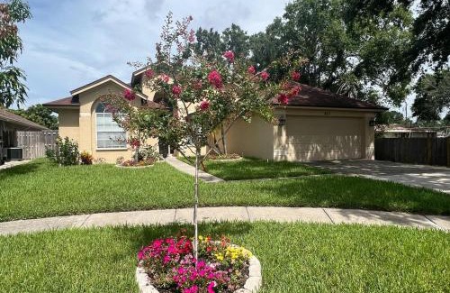Town 'n' Country Casa | Traditional Home in Tampa