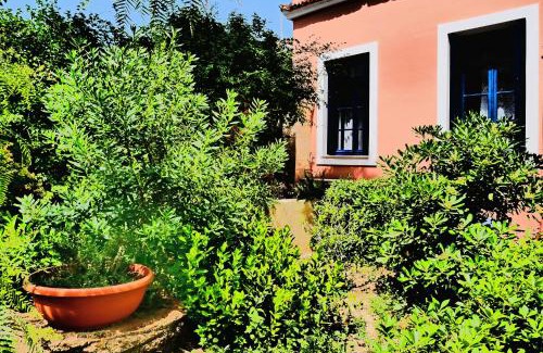 Aegina Villa | Traditional House at Aegina Port