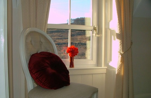 Calvine Casa | Home-Tradicional-Vista al campo-Baño con ducha