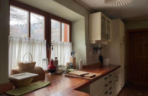 Vransko Apartamento | Traditional Slovenian house