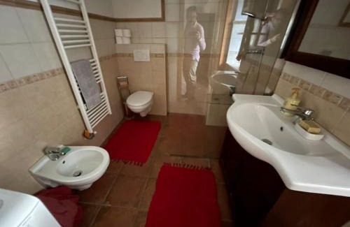 Vransko Apartamento | Traditional Slovenian house