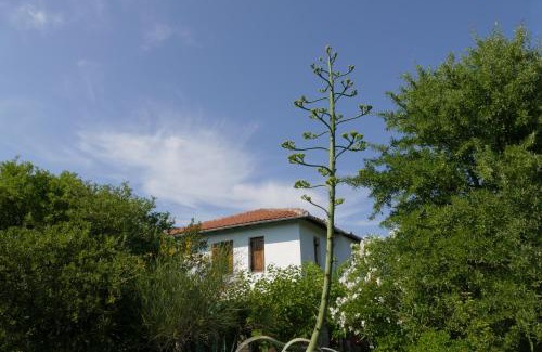 Xinovrisi Casa | Traditional Stonehouse