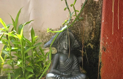 Thamaraparambu Casa | Traditional Styled Home in Fort Kochi, since 2006