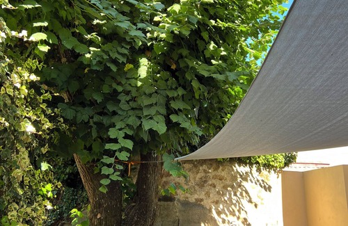 Cauro Casa | Traditional village house, 15 minutes from the beach.
