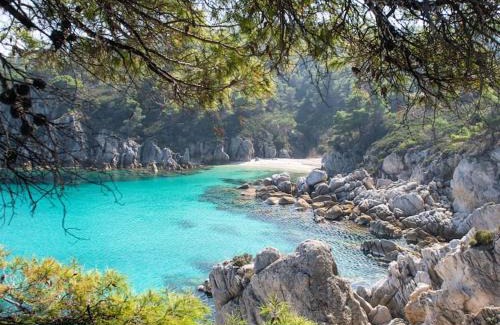 Sikia Apartamento | Traditionelles Appartement ATHOS SHADOW am Meer