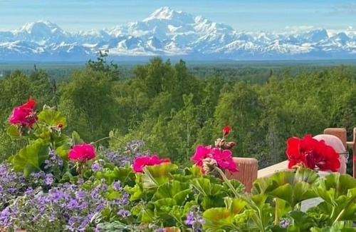 Susitna North Casa | Trail House, Denali Brewing, Netflix, Concert, Fire Pit, Family, Race, festival