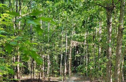 Saint Stephens Church Casa | Trails and Tails- Affordable Nature and Seclusion Near Amusement Park, and More!