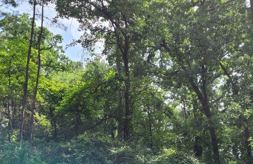 Holly Lake Ranch Cabina | @TrailsEdgeTX Trendy Cabin on 2 Acre Wooded Lot