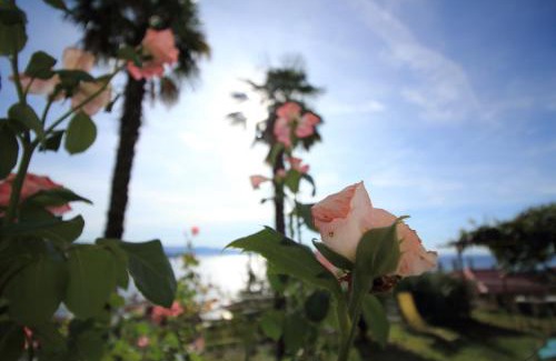 Volosko Apartamento | Tramontana Leeward - Cozy and charming apartment in beautiful Volosko