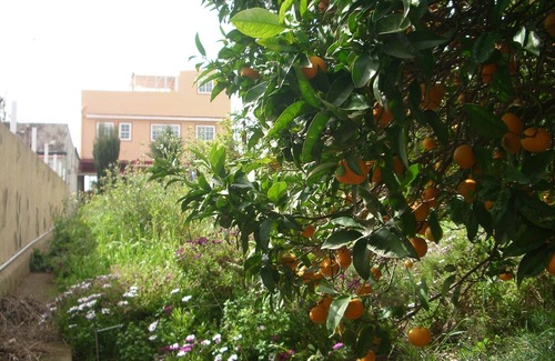 San Cristobal de La Laguna Casa | Tranquil room in a rural place , with sun energy.