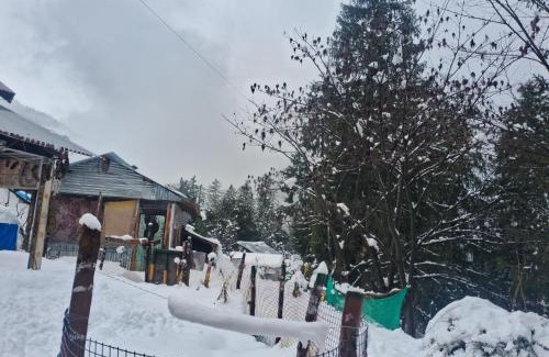 Kullu Hotel | Trance Cafe