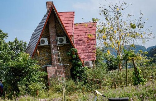 Hoa Lu Complejo | TRANG AN SECRET GARDEN