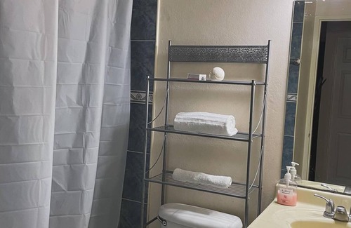 Eastwood Park Apartamento | Tranquil 1-bedroom apartment in the heart of Kingston with WiFi, AC