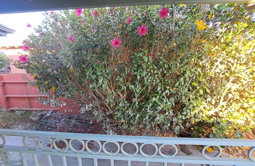Ventura Casa | Tranquil 2-bedroom house in Ventura with flower garden close to beach