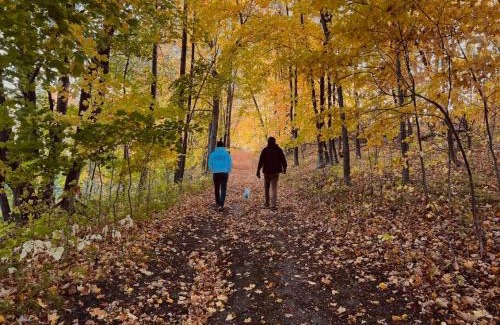 Clitherall Casa | Tranquil Beauty at Spitzer Lake Nature Escape
