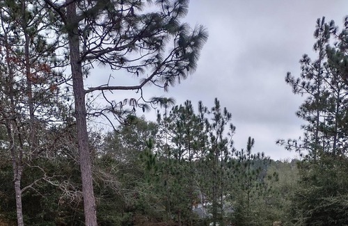 Crestview Casa | Tranquil Family Friendly Home