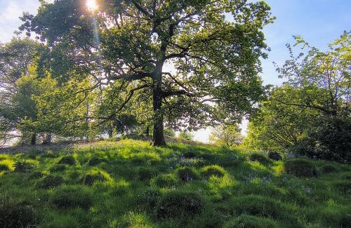 Llandovery Apartamento | Tranquil getaway near Brecon Beacons
