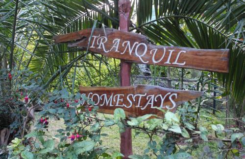Naro Moru Hotel | Tranquil Homestays