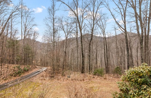 Barnardsville Casa | Tranquil mountain-view home with fireplace, firepit, deck, W/D, & soaking tub