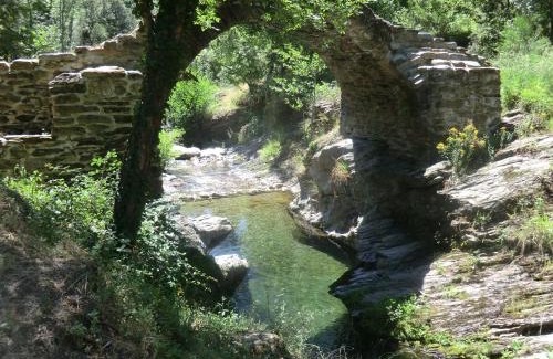Saint-Privat-de-Vallongue Cama Y Desayuno | Transgardon B&B en Cévennes