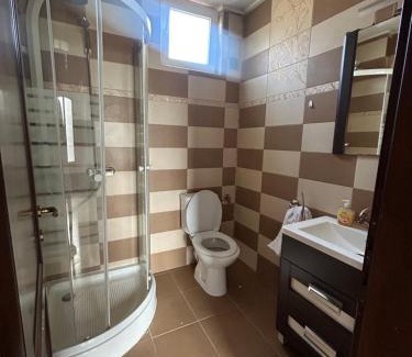 Miercurea Sibiului Casa | Transilvania Guesthouse